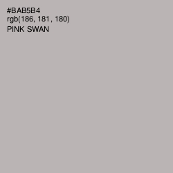 #BAB5B4 - Pink Swan Color Image