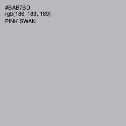 #BAB7BD - Pink Swan Color Image