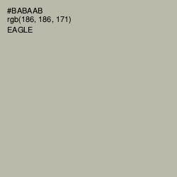#BABAAB - Eagle Color Image