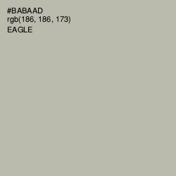 #BABAAD - Eagle Color Image