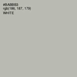 #BABBB3 - Tide Color Image