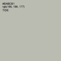 #BABCB1 - Tide Color Image