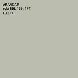 #BABDAE - Eagle Color Image