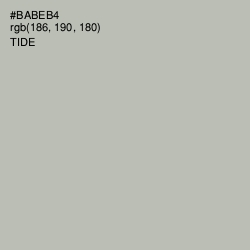 #BABEB4 - Tide Color Image