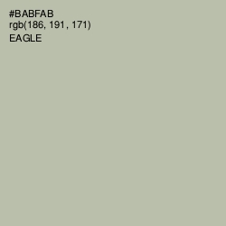 #BABFAB - Eagle Color Image
