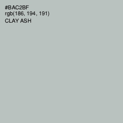 #BAC2BF - Clay Ash Color Image