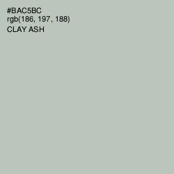 #BAC5BC - Clay Ash Color Image