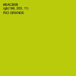 #BACB0B - Rio Grande Color Image