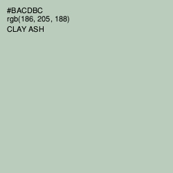 #BACDBC - Clay Ash Color Image
