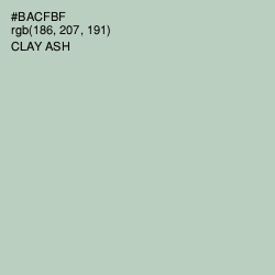 #BACFBF - Clay Ash Color Image
