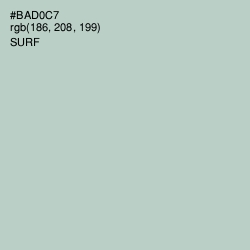#BAD0C7 - Surf Color Image