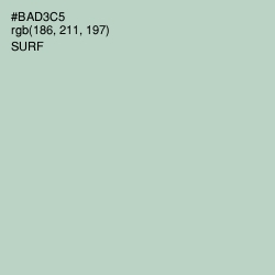 #BAD3C5 - Surf Color Image