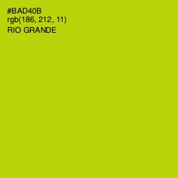 #BAD40B - Rio Grande Color Image