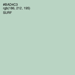 #BAD4C3 - Surf Color Image