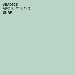 #BAD5C5 - Surf Color Image