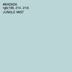 #BAD6D6 - Jungle Mist Color Image