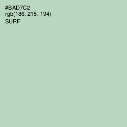 #BAD7C2 - Surf Color Image