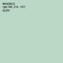 #BAD8C5 - Surf Color Image