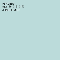#BADBD9 - Jungle Mist Color Image