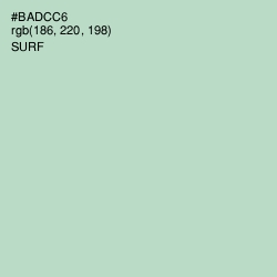 #BADCC6 - Surf Color Image