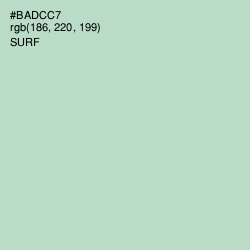 #BADCC7 - Surf Color Image