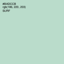 #BADCCB - Surf Color Image