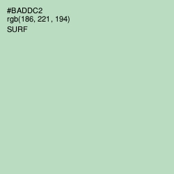 #BADDC2 - Surf Color Image