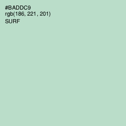 #BADDC9 - Surf Color Image