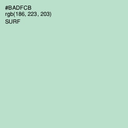 #BADFCB - Surf Color Image