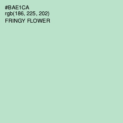 #BAE1CA - Fringy Flower Color Image
