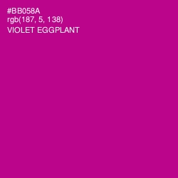 #BB058A - Violet Eggplant Color Image