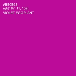 #BB0B98 - Violet Eggplant Color Image