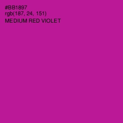#BB1897 - Medium Red Violet Color Image