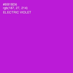 #BB1BD6 - Electric Violet Color Image