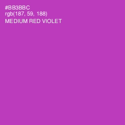 #BB3BBC - Medium Red Violet Color Image