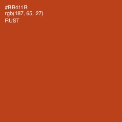 #BB411B - Rust Color Image