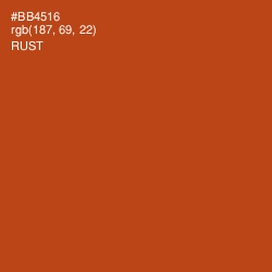 #BB4516 - Rust Color Image