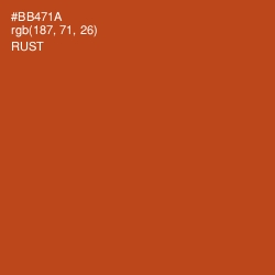 #BB471A - Rust Color Image