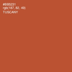 #BB5231 - Tuscany Color Image