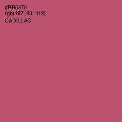 #BB5370 - Cadillac Color Image