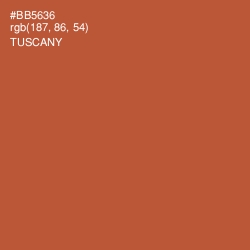 #BB5636 - Tuscany Color Image