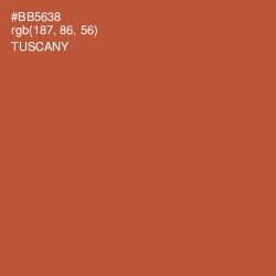 #BB5638 - Tuscany Color Image