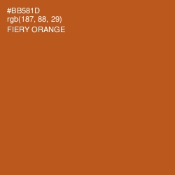 #BB581D - Fiery Orange Color Image