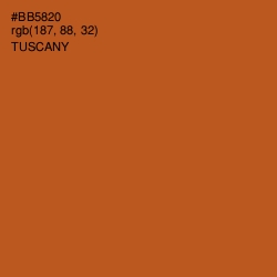 #BB5820 - Tuscany Color Image