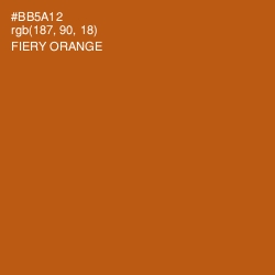 #BB5A12 - Fiery Orange Color Image