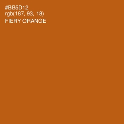 #BB5D12 - Fiery Orange Color Image