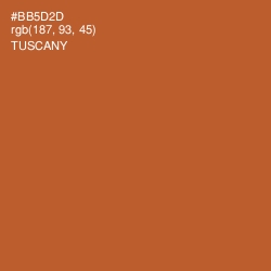 #BB5D2D - Tuscany Color Image
