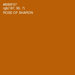 #BB5F07 - Rose of Sharon Color Image