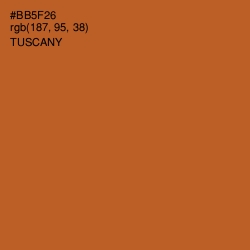 #BB5F26 - Tuscany Color Image