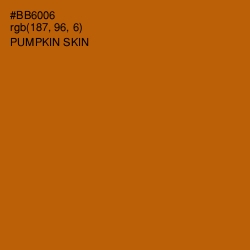 #BB6006 - Pumpkin Skin Color Image